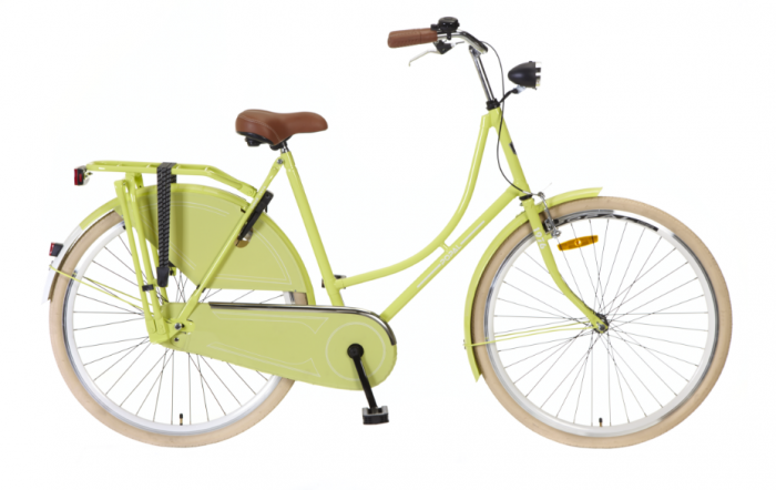 munt Goed gevoel Kikker Omafiets 28 inch Groen