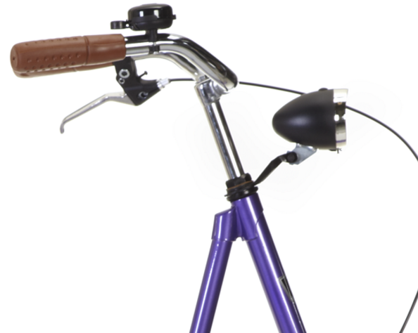 Hoge blootstelling dreigen worm Omafiets 28 inch Paars